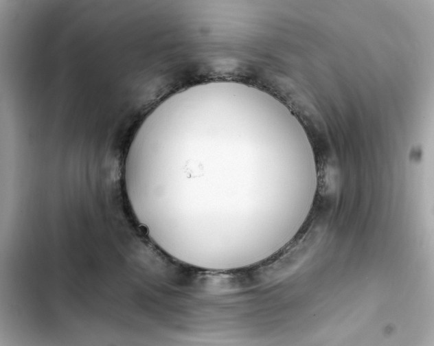 X0000102370472200808151839