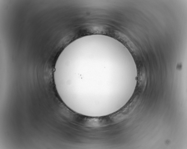 X0000102370473200808151839