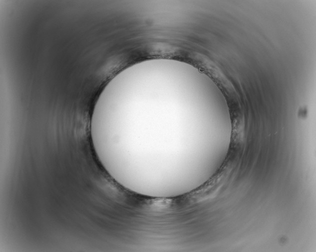 X0000102370474200808151839