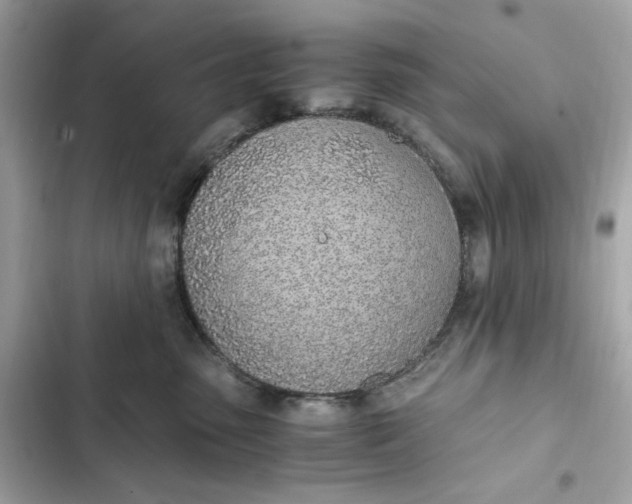 X0000102370475200808151839