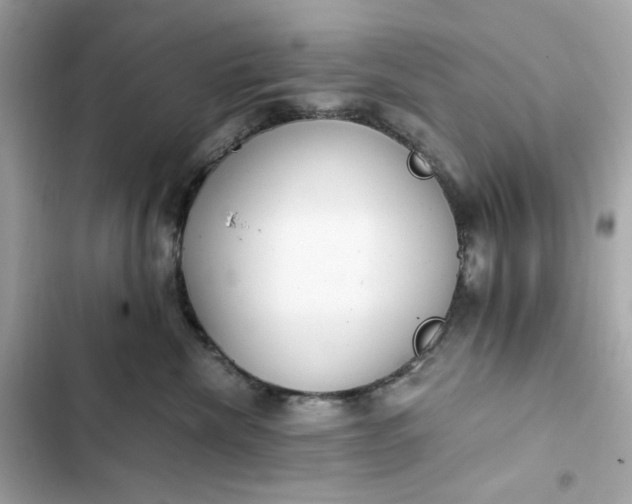 X0000102370476200808151839