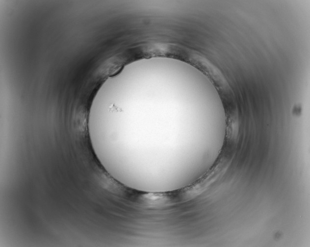 X0000102370477200808151839