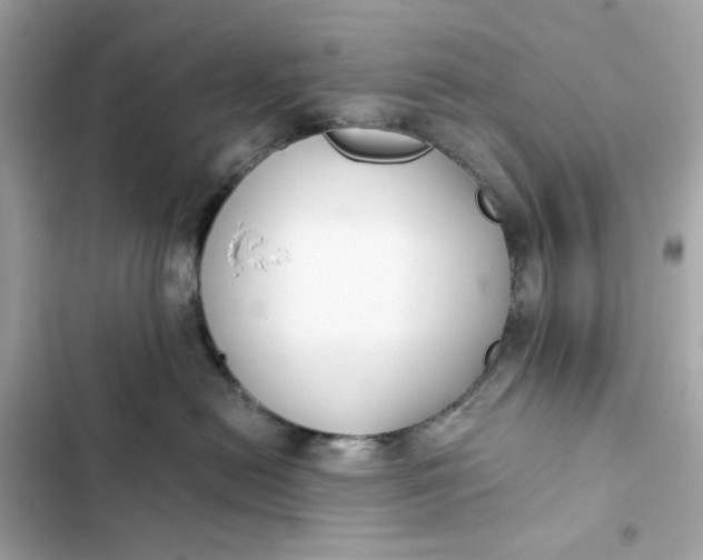 X0000102370478200808151839