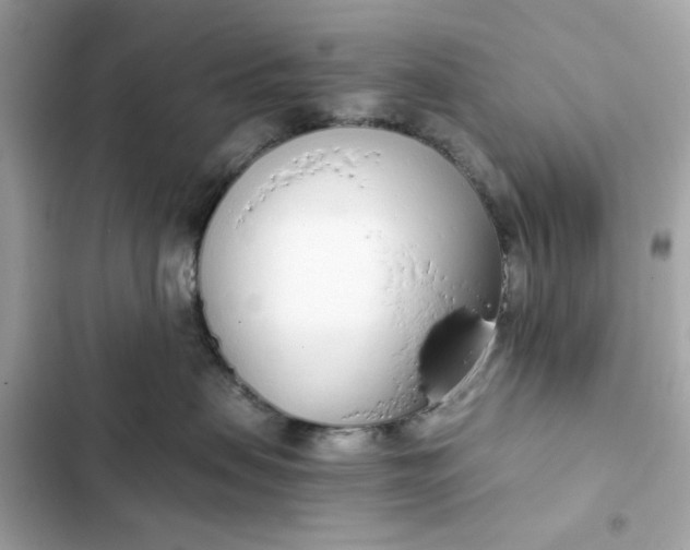 X0000102370479200808151839