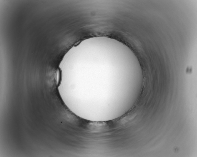 X0000102370480200808151839