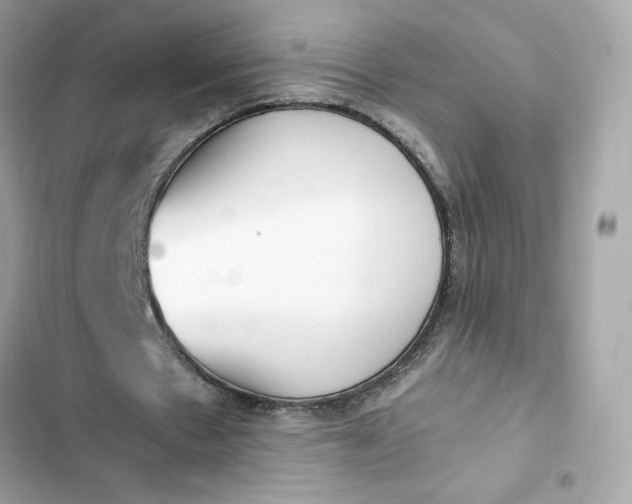 X0000102370481200808151839