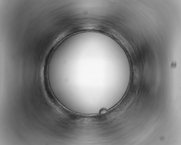 X0000102370482200808151839