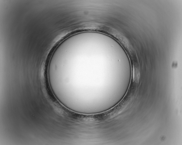 X0000102370483200808151839