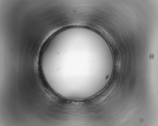 X0000102370484200808151839