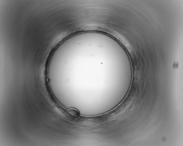 X0000102370485200808151839