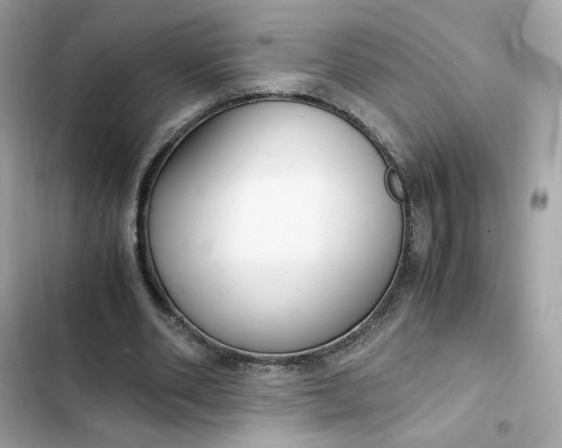 X0000102370486200808151839