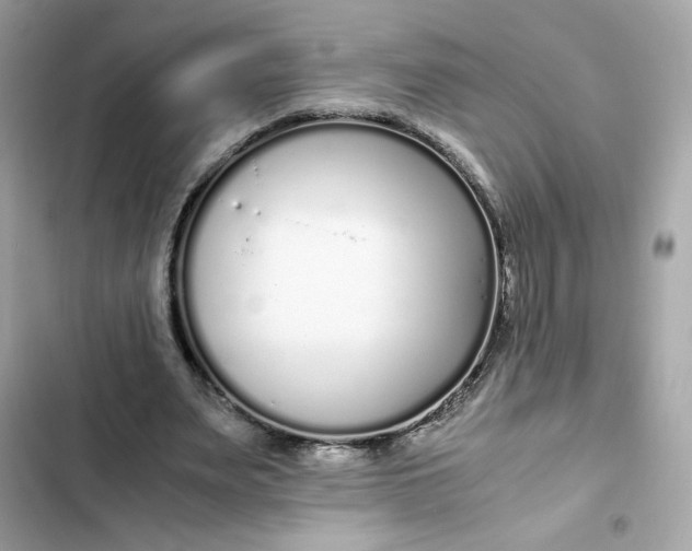 X0000102370487200808151839