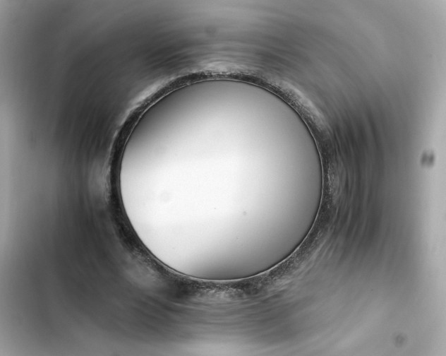 X0000102370488200808151839