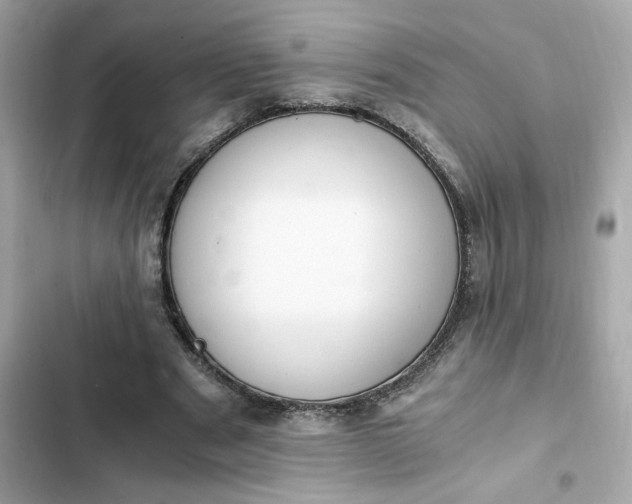 X0000102370489200808151838