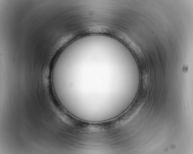 X0000102370490200808151838