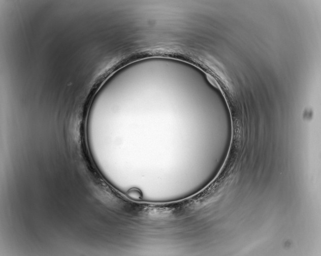 X0000102370491200808151838