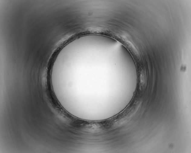 X0000102370492200808151838