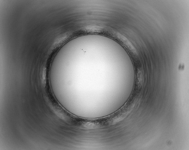 X0000102370494200808151838