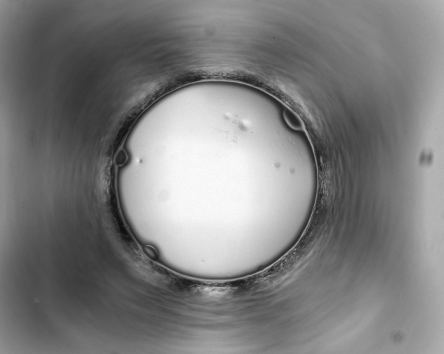 X0000102370495200808151838