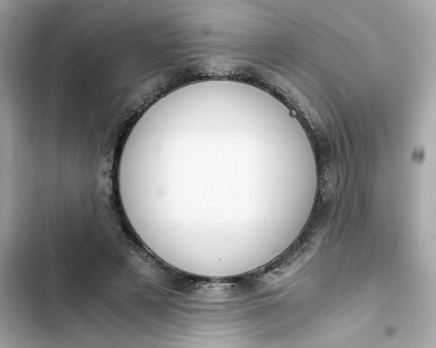 X0000102370497200808151838