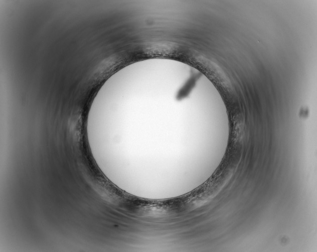 X0000102370498200808151838