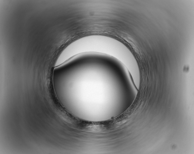 X0000102370499200808151838