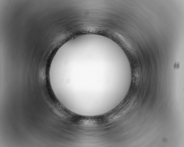 X0000102370500200808151838