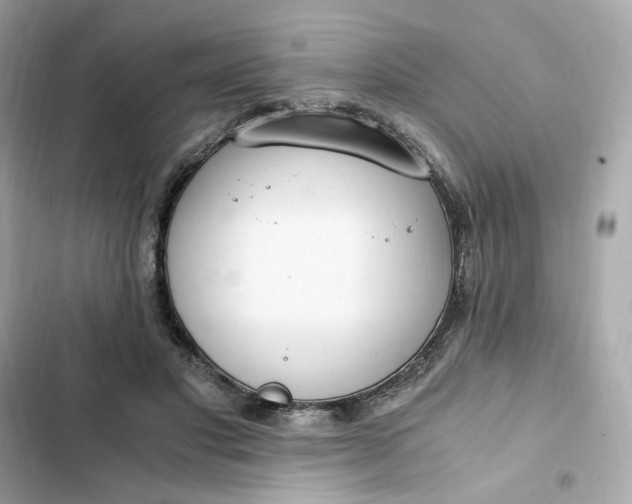 X0000102370501200808151838