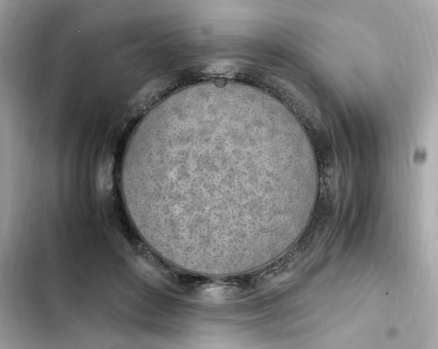 X0000102370504200808151838