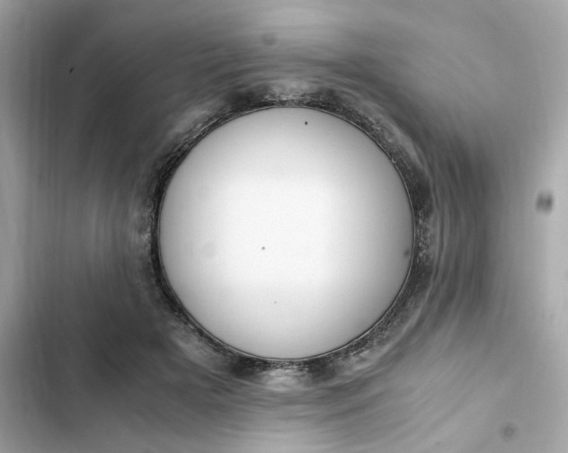 X0000102370505200808151838