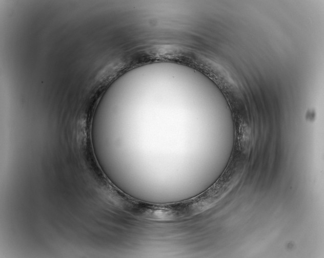 X0000102370506200808151838