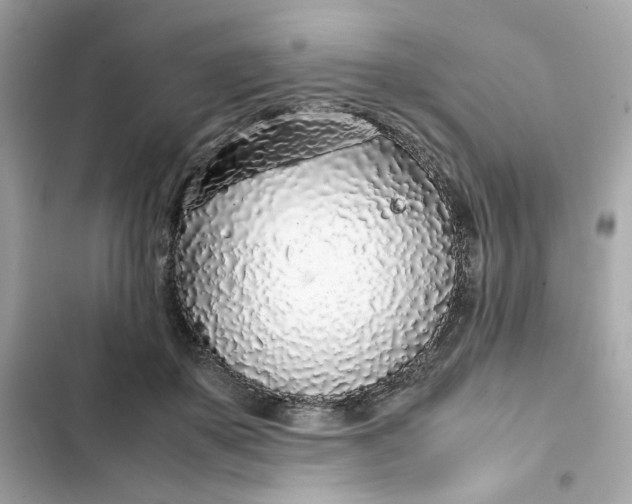 X0000102370507200808151838