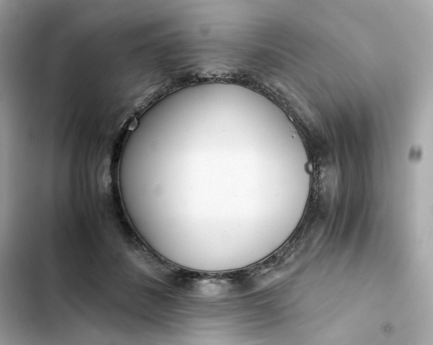 X0000102370508200808151838