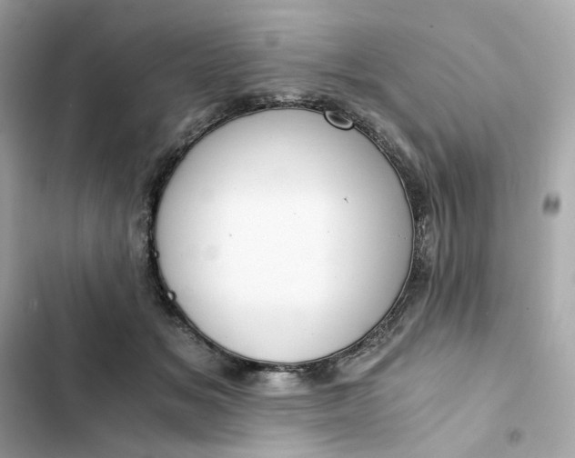 X0000102370509200808151838