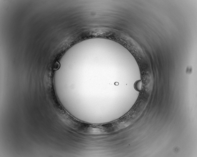 X0000102370510200808151838