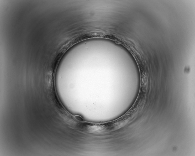 X0000102370511200808151838