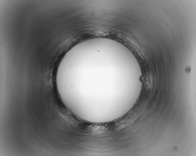 X0000102370512200808151838