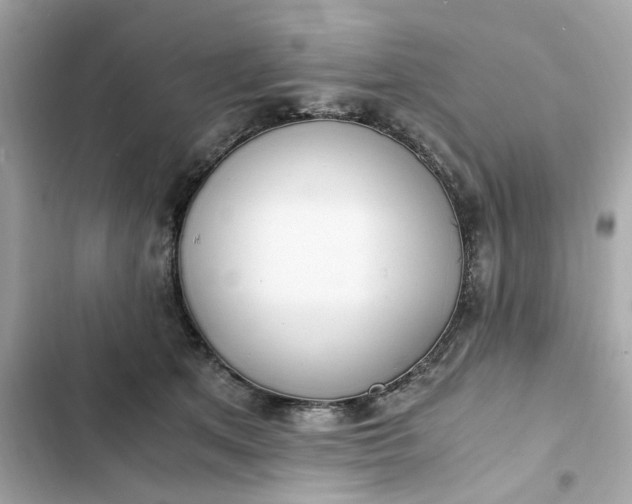 X0000102370513200808151838