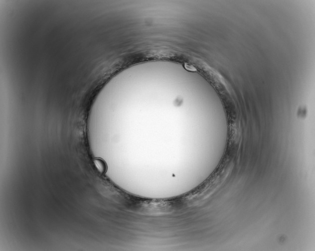 X0000102370517200808151838