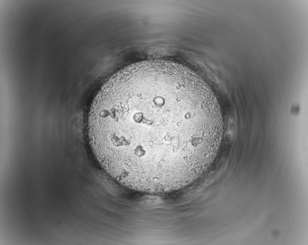 X0000102370519200808151838