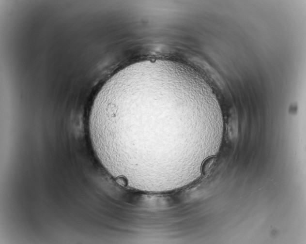 X0000102370520200808151838