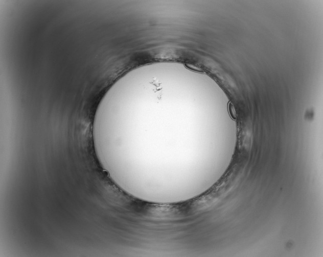 X0000102370521200808151838