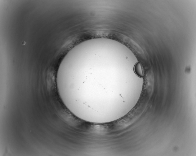 X0000102370522200808151838