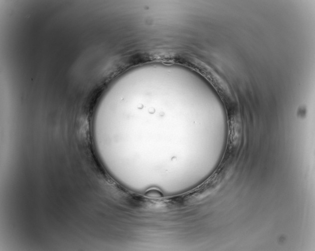 X0000102370523200808151838