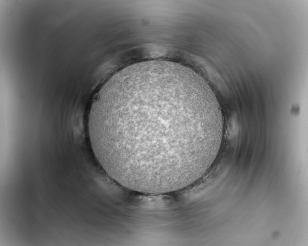 X0000102370524200808151838