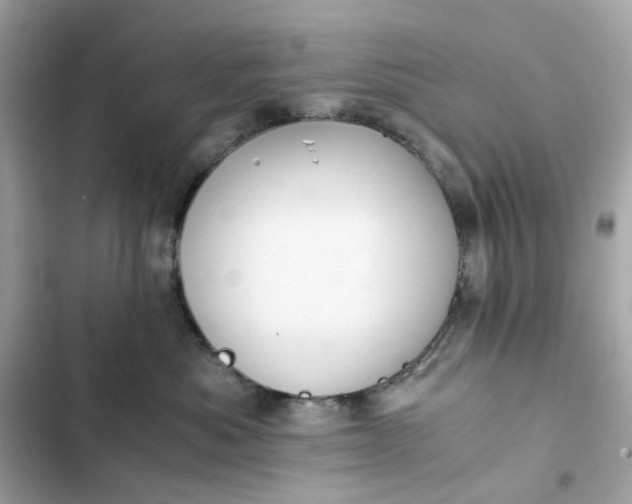 X0000102370525200808151838