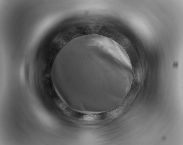 X0000102370526200808151838