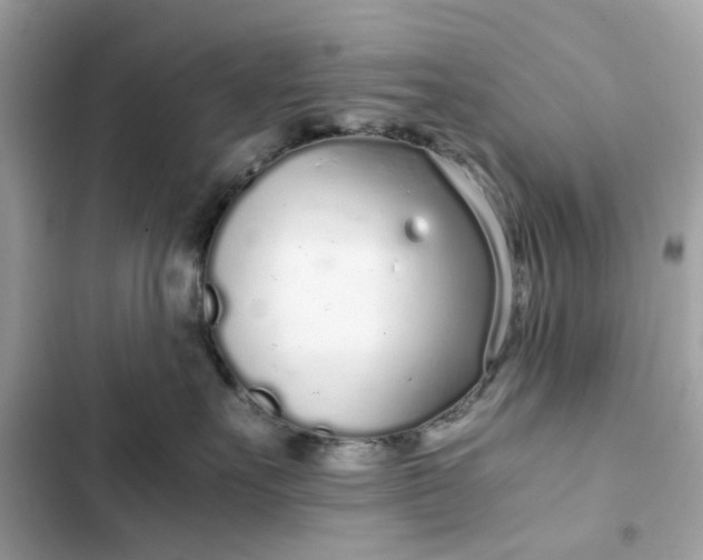 X0000102370527200808151838