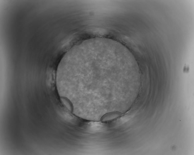 X0000102370528200808151838