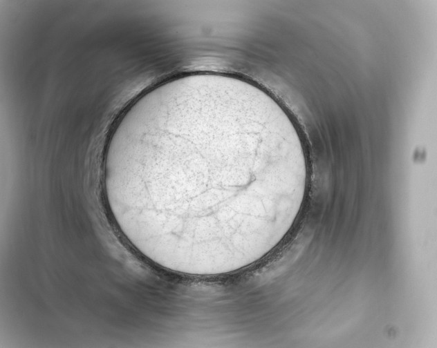 X0000102370529200808151837